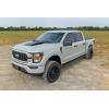 imageRough Country Hood Scoop for 20212024 Ford F150 2WD4WD  HS30010