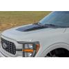 imageRough Country Hood Scoop for 20212024 Ford F150 2WD4WD  HS30010