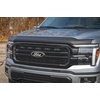 image:imageRough Country Hood Protector for Ford F150 20212026  HighDensity Thermoplastic NoDrill 3M Install Gloss BlackGloss Black