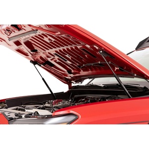 image:imageRough Country Hydraulic Hood Strut Kit for Toyota Tacoma 20242026  NitrogenCharged Hood Assist with BoltOn Installation